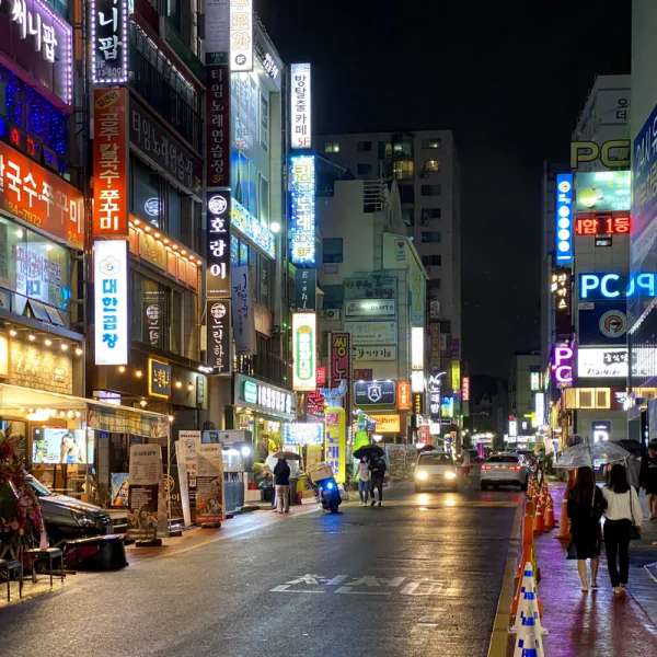 포레스트 아델하우스 테라피 안내 이미지